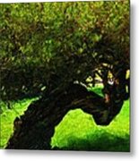 Shadow Tree Carmel Valley Metal Print