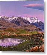 Sheep And Pond In Predawn Alpenglow Metal Print