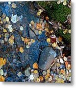 Shorelines - Campbell Creek Metal Print