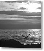 Sailing Metal Print