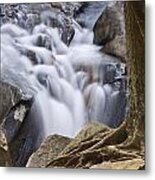 Sinks Cascade And Tree Metal Print