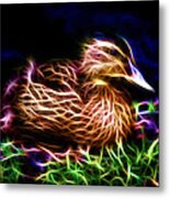 Smile Juvenile Mallard - Fractal Metal Print