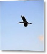 Solo Flight Metal Print