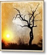 South African Sunset Grunge Style Metal Print