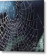 Spiderweb Blues Metal Print