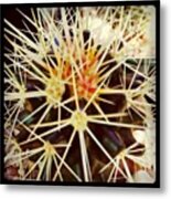 Spikey #cactus #rpadden #plant #spike Metal Print