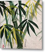 Splendid Bamboo Metal Print