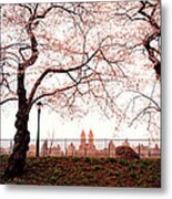 Spring Cherry Blossoms - Central Park Reservoir Metal Print