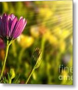 Spring Flower Metal Print