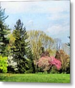 Spring Landscape Metal Print