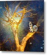 Squirrel In Austin Metal Print