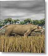 Stalking Prey Metal Print