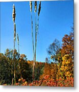 Standing Tall Metal Print