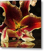 Stargazed Reflections Metal Print