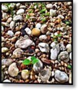 Stoney. #ha #stones #rocks #nature Metal Print