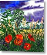 Storm Clouds And Poppies Metal Print