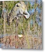 Stretch And Preen Metal Print