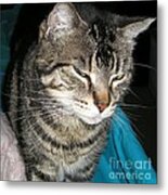 Sultry Eyes Metal Print