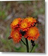 Summer Bouquet Metal Print