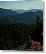 Summer In The Mountains Metal Print