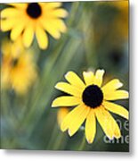 Summer Memories Metal Print