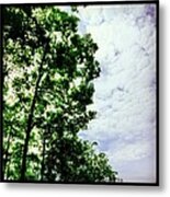 Summer Velvet Metal Print