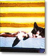 Sunbathing Feline Metal Print