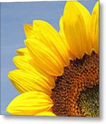 Sunflower Metal Print