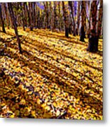 Sunny Aspen Day Metal Print