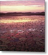 Sunrise Over The Pongolo Flood Plain Metal Print