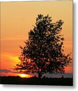 Square Photograph Of A Fiery Orange Sunset And Tree Silhouette Metal Print