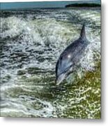 Surfing Dolphin Metal Print