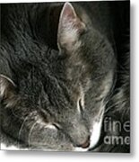 Sweet Dreams Metal Print