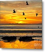 Tangerine Dream Metal Print