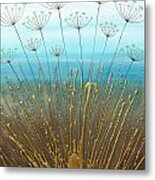 Teal Alliums Metal Print