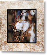 Tennessee Cotton I Photo Square Metal Print