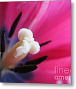 The Beauty From Inside Metal Print