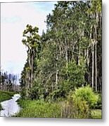 The Canoe Trail Metal Print