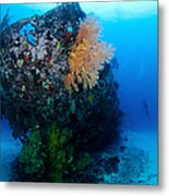 The Coral Encrusted Stern Metal Print