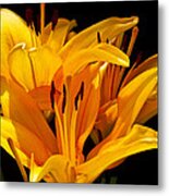 The Dance Metal Print