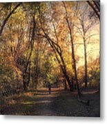 The Path That Guides You Metal Print