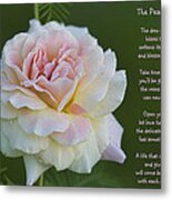 The Peace Rose Metal Print