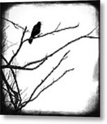 The Raven Metal Print