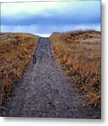 The Way To The Beach Metal Print