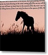 The Words Of A Wild Filly Metal Print