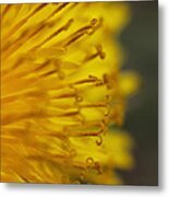 The Yellow Invasion Metal Print