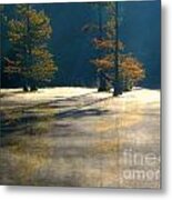 Thick Mist Metal Print