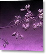 Tiny Beauty Metal Print