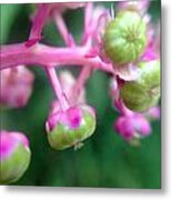 Tiny Pink Flowers Metal Print