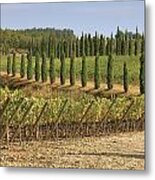 Toscana Metal Print